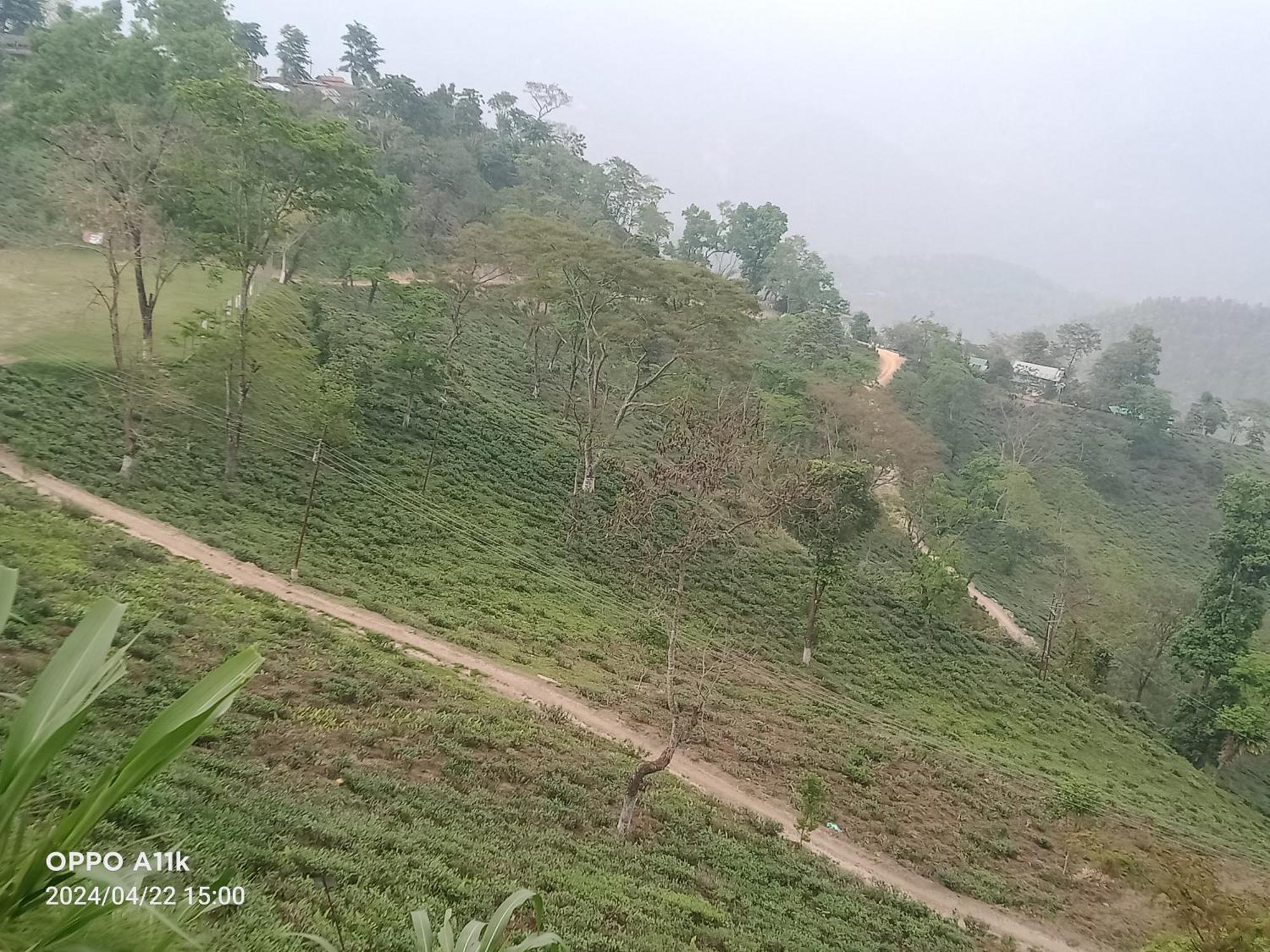 Dsd Bomzon Homestay Darjeeling  Exterior foto